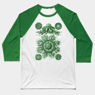 Ernst Haeckel Discomedusae Jellyfish Plate 28 Green Baseball T-Shirt